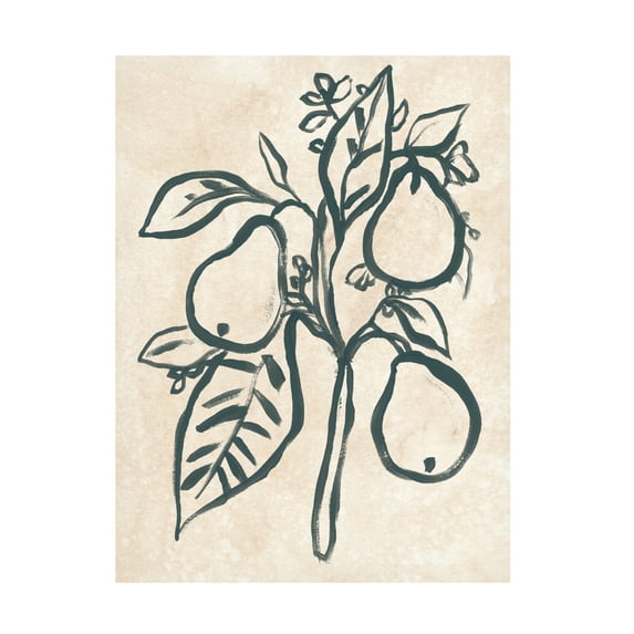 Trademark Fine Art June Erica Vess Ink Pear Branch I Canvas Wall Art