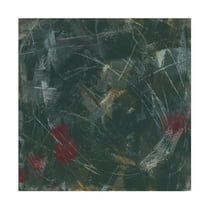 Trademark Fine Art June Erica Vess Midnight Constellation I Canvas Wall Art