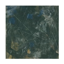 Trademark Fine Art June Erica Vess  Midnight Constellation II Canvas Wall Art