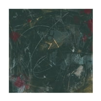 Trademark Fine Art June Erica Vess Midnight Constellation IV Canvas Wall Art