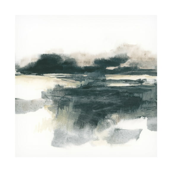 Trademark Fine Art June Erica Vess  Obsidian Field I Canvas Wall Art