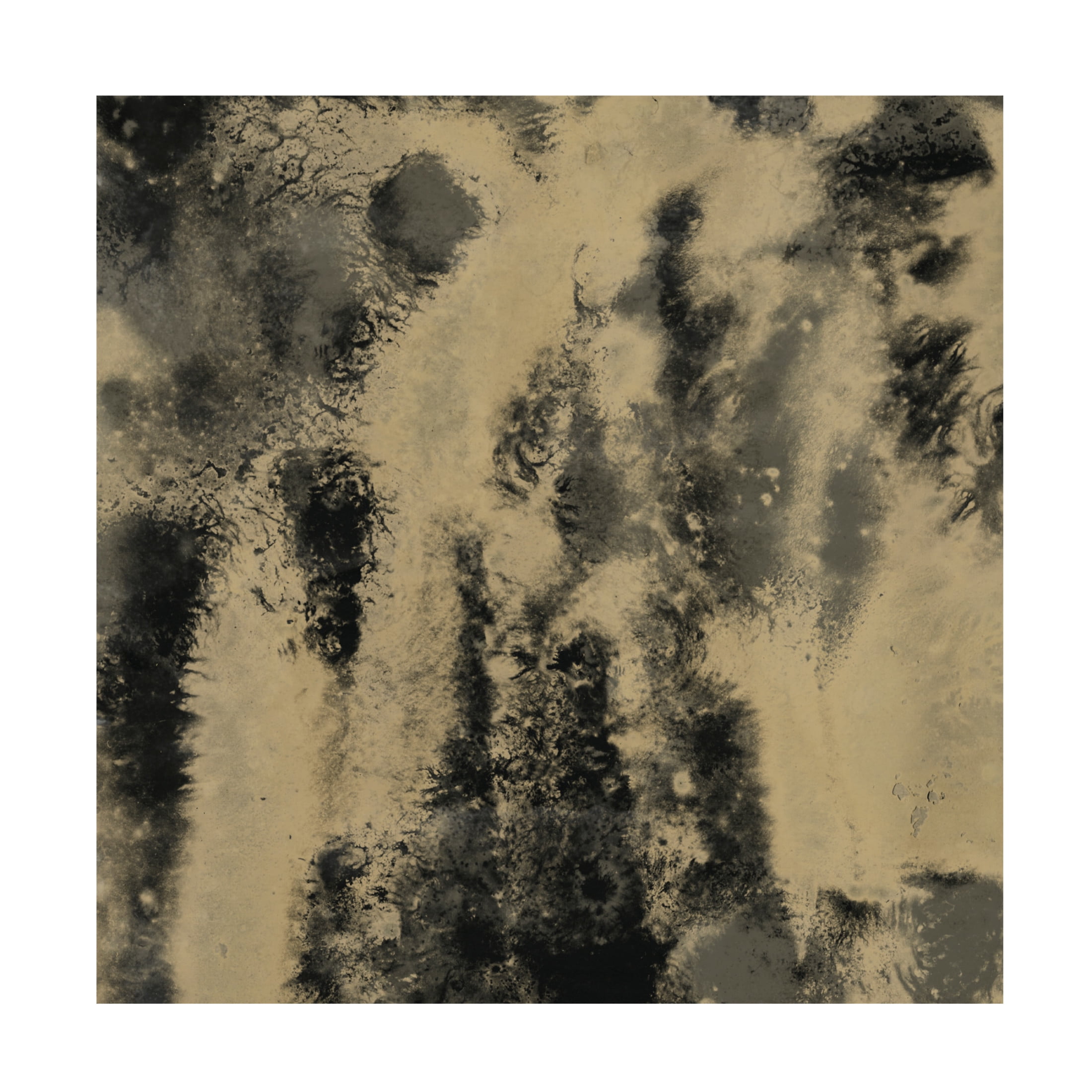 Trademark Fine Art June Erica Vess Onyx Nebula I Canvas Wall Art