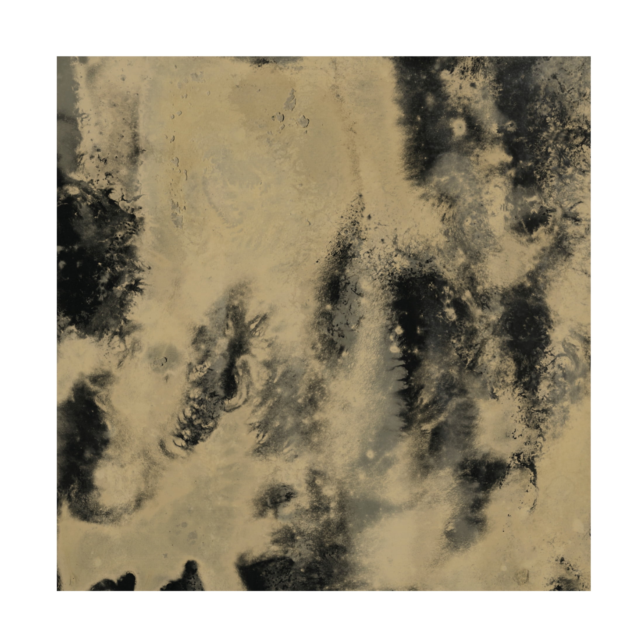 Trademark Fine Art June Erica Vess  Onyx Nebula IV Canvas Wall Art