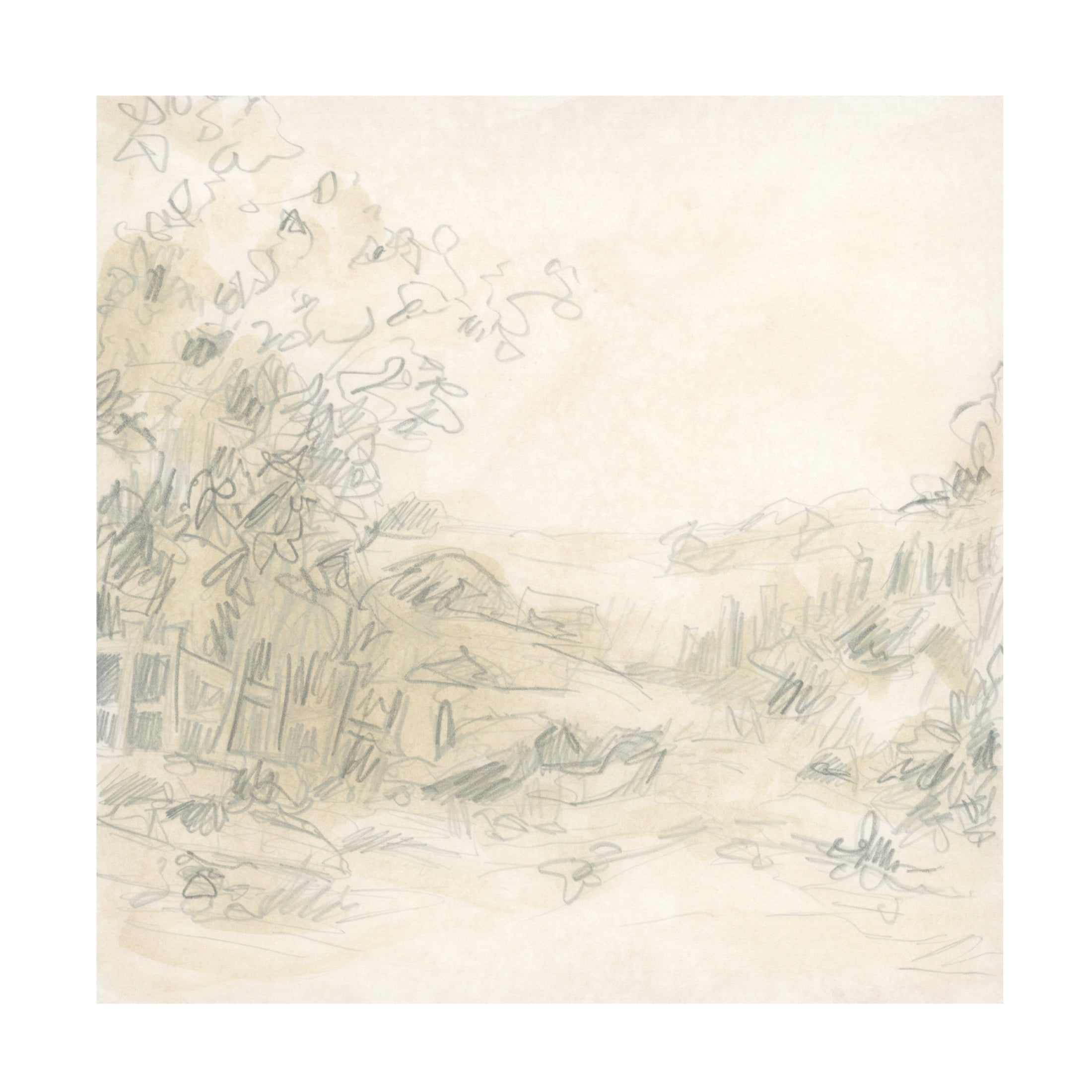 Trademark Fine Art June Erica Vess Parchment Field Study I Canvas Wall Art