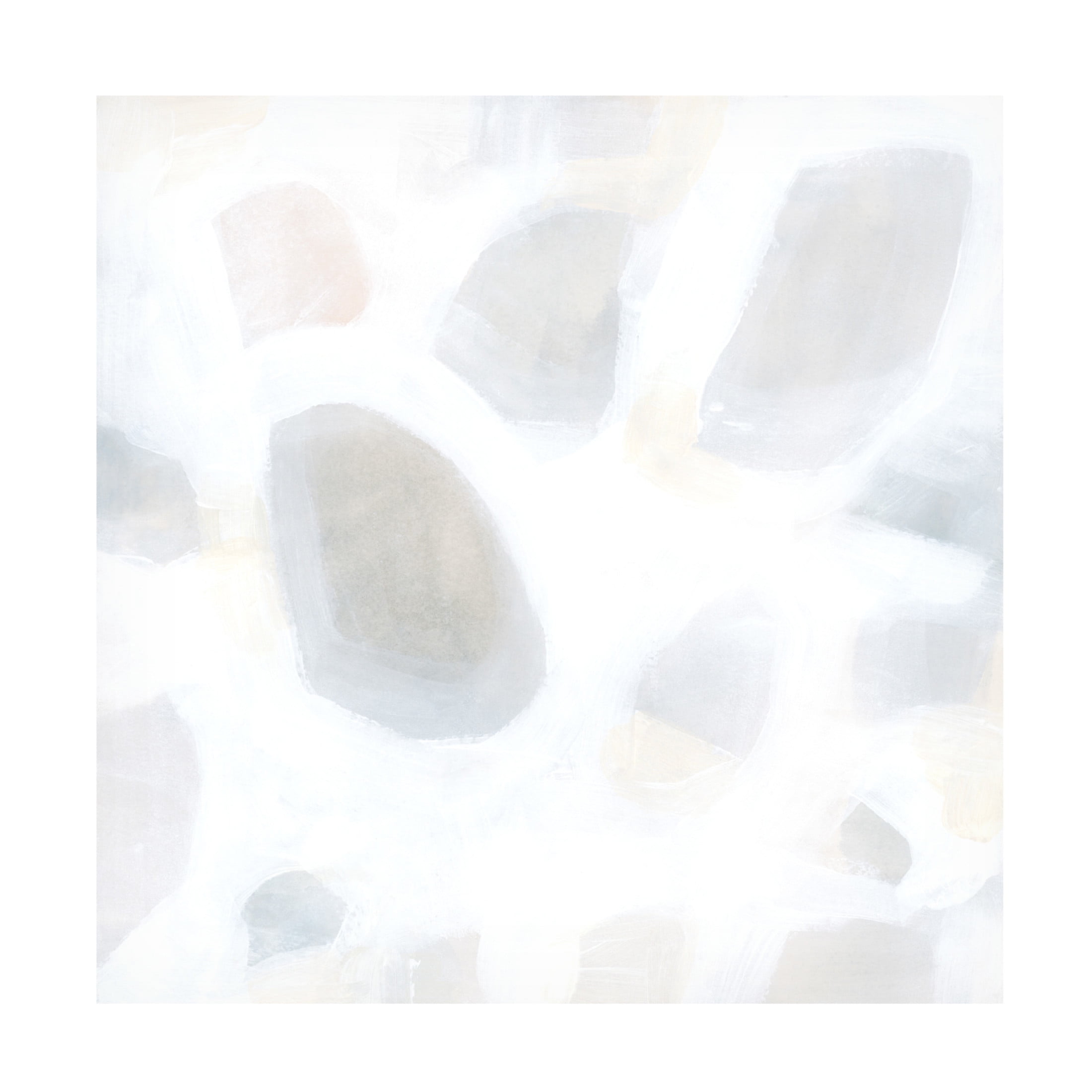 Trademark Fine Art June Erica Vess  Snow Pebble II Canvas Wall Art