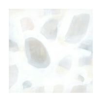 Trademark Fine Art June Erica Vess Snow Pebble II Canvas Wall Art