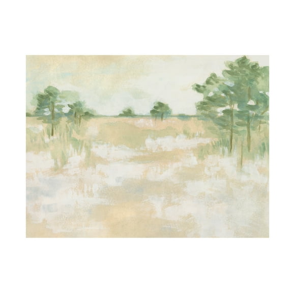 Trademark Fine Art June Erica Vess  Soft Focus Field II Canvas Wall Art