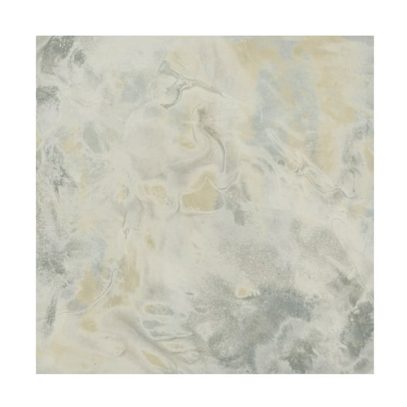 Trademark Fine Art June Erica Vess  Stone Surface I Canvas Wall Art