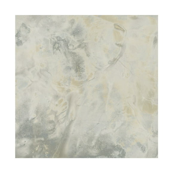 Trademark Fine Art June Erica Vess Stone Surface II Canvas Wall Art