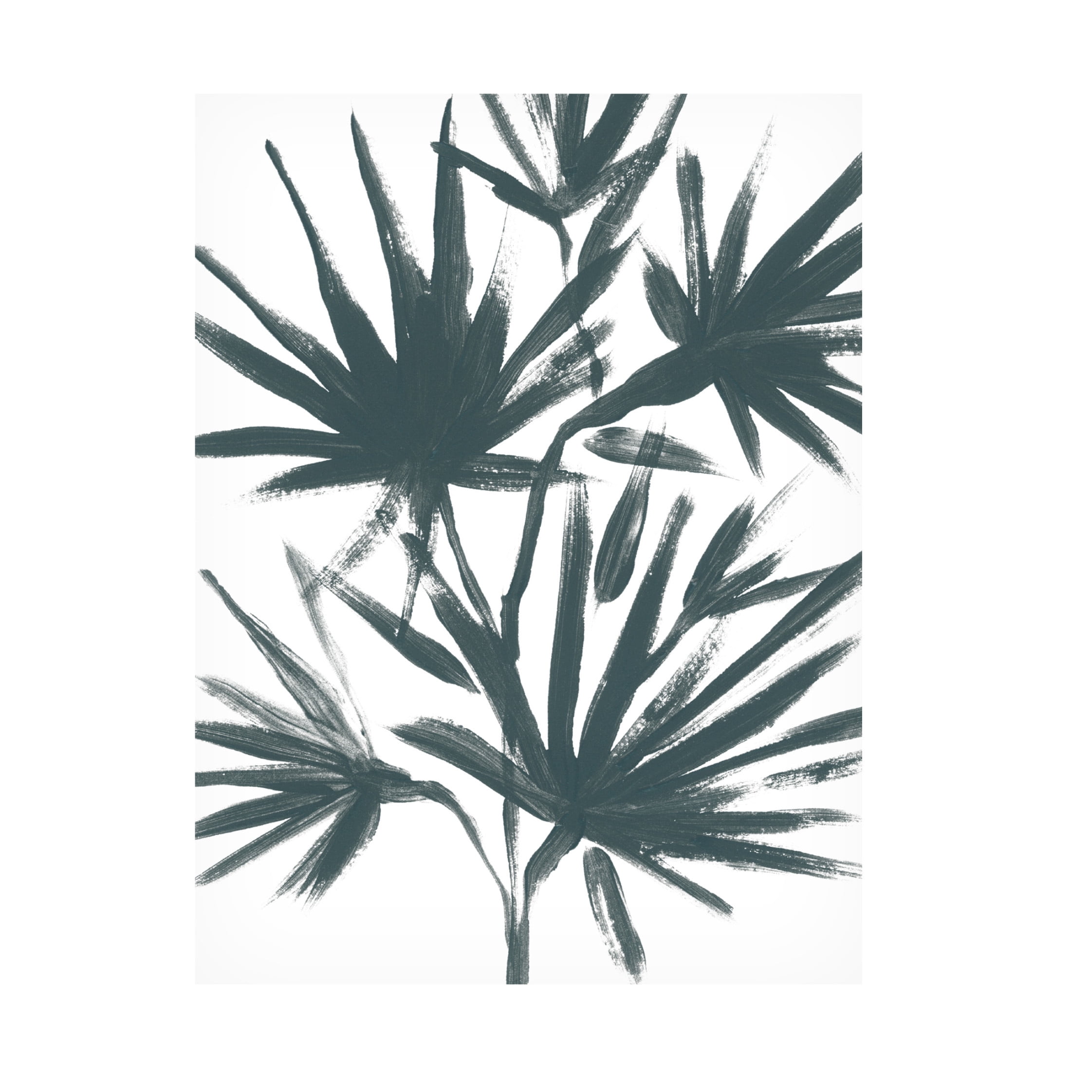 Trademark Fine Art June Erica Vess Tropical Cameo II Canvas Wall Art