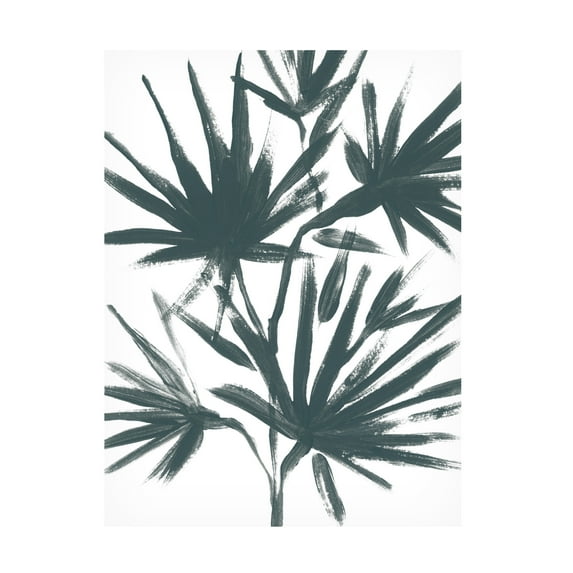 Trademark Fine Art June Erica Vess Tropical Cameo II Canvas Wall Art