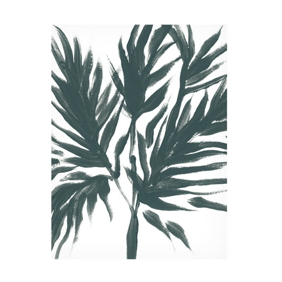 Trademark Fine Art June Erica Vess  Tropical Cameo III Canvas Wall Art