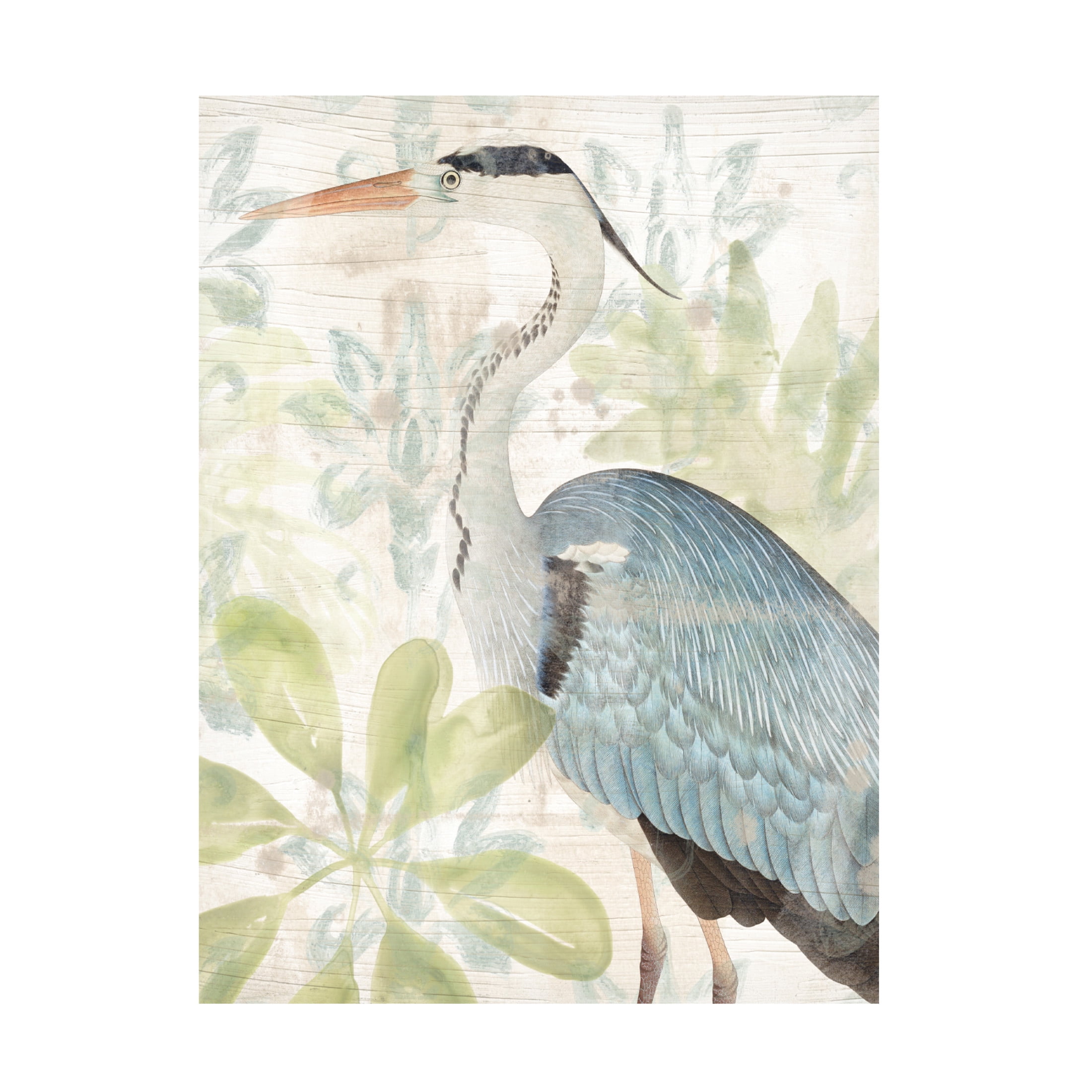 Trademark Fine Art June Erica Vess Waterbird Tapestry I Canvas Wall Art