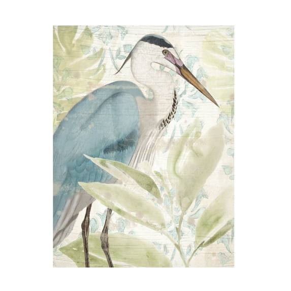 Trademark Fine Art June Erica Vess Waterbird Tapestry II Canvas Wall Art