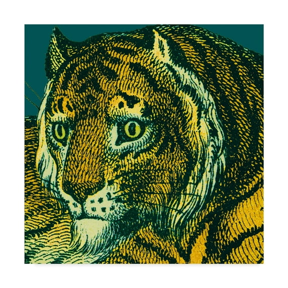 Trademark Fine Art 'Jungle Flair II' Canvas Art by Wild Apple Portfolio