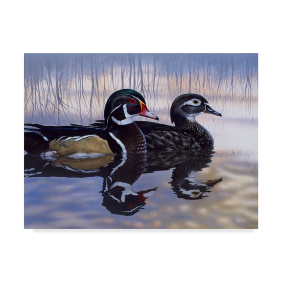 Trademark Fine Art 'Just Ducky' Canvas Art by Rusty Frentner