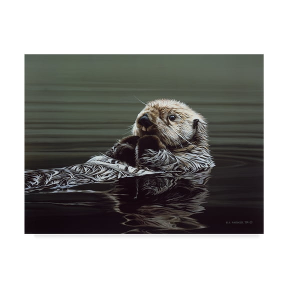 Trademark Fine Art 'Just Resting Sea Otter' Canvas Art by Ron Parker