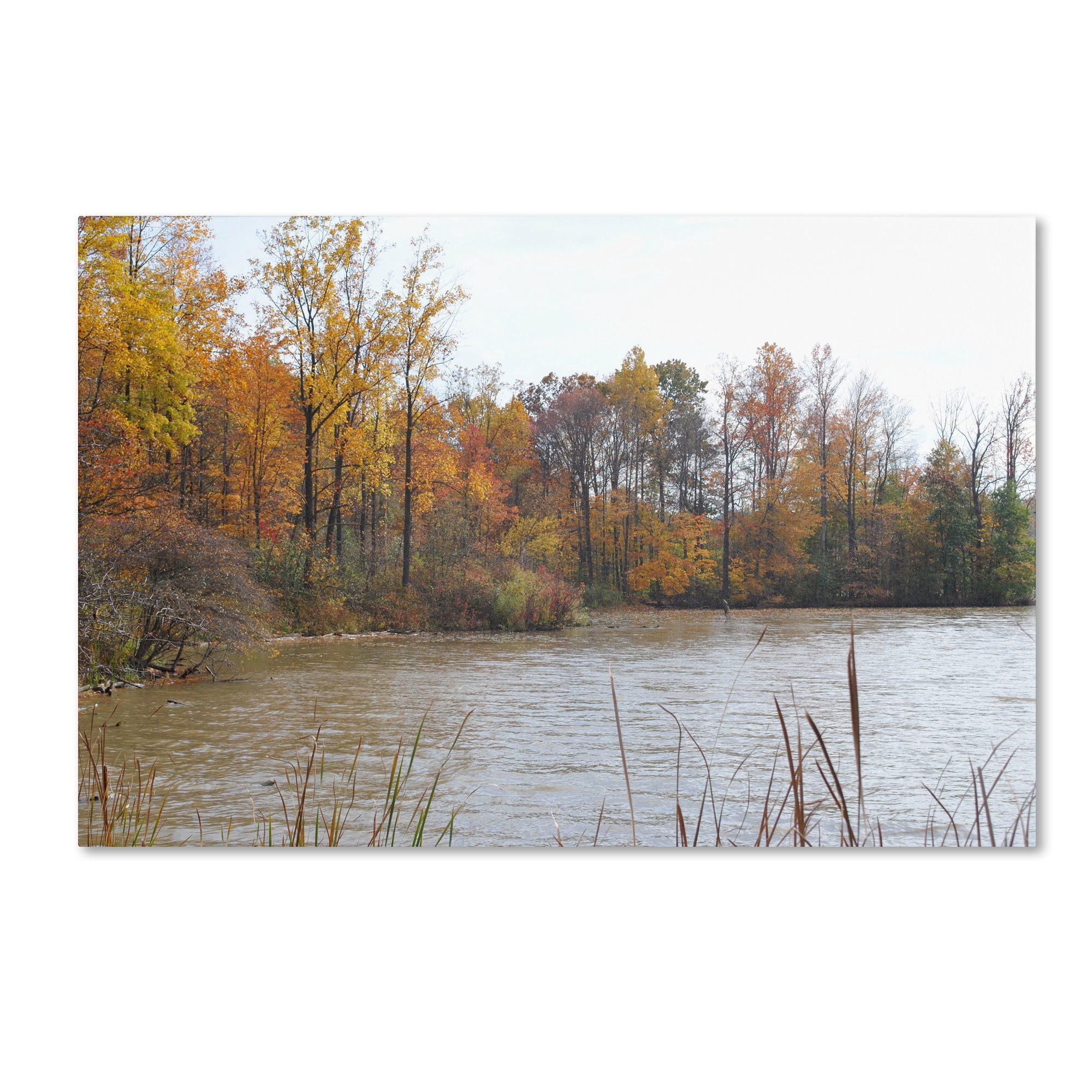 Trademark Fine Art "Just a Wonder" Canvas Art by Monica Fleet