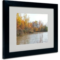 Trademark Fine Art "Just a Wonder" by Monica Fleet, Black Frame
