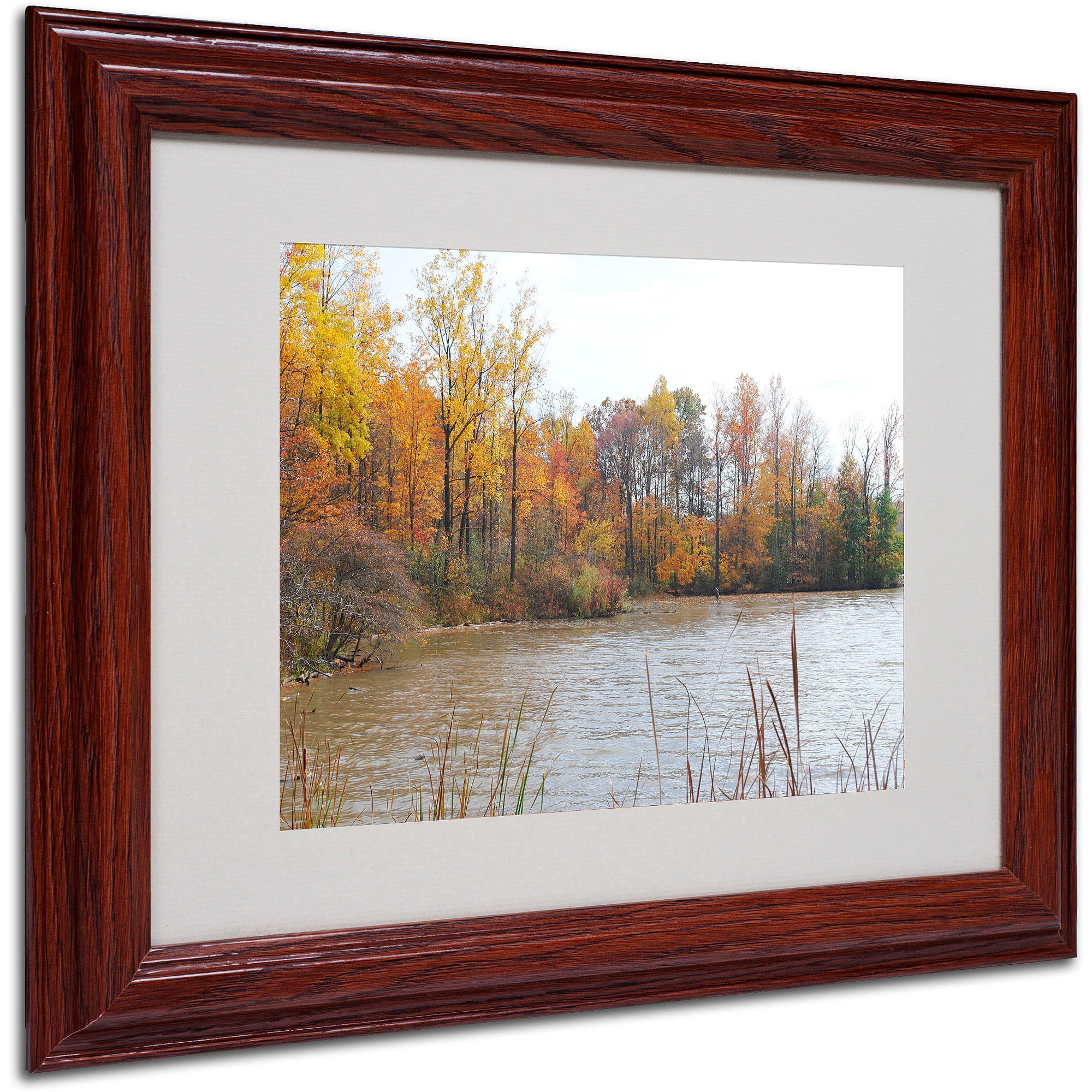 Trademark Fine Art "Just a Wonder" by Monica Fleet, Wood Frame
