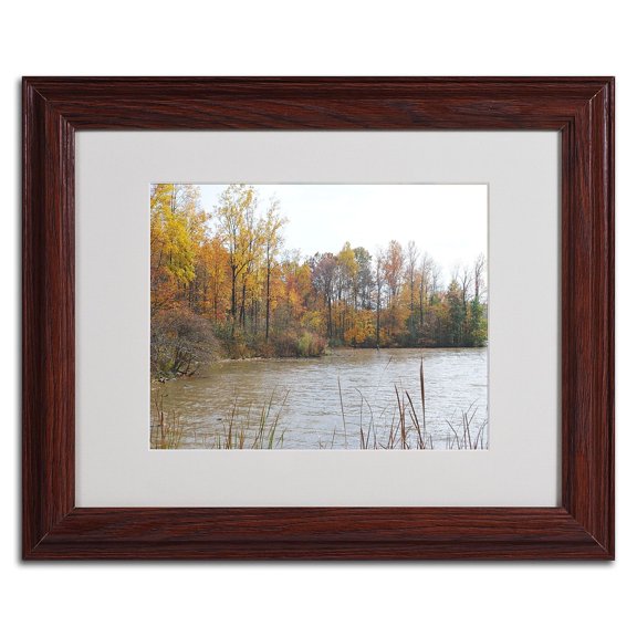 Trademark Fine Art "Just a Wonder" by Monica Fleet, Wood Frame