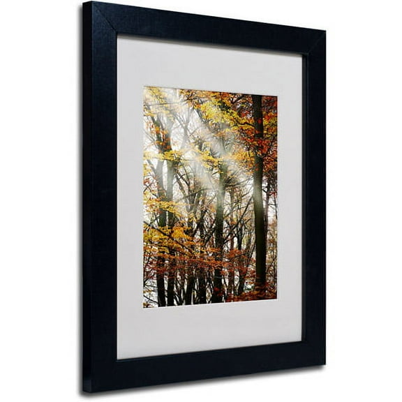 Trademark Fine Art "Just the Light" Canvas Art by Philippe Sainte-Laudy, Black Frame