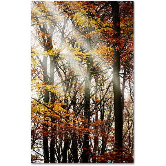 Trademark Fine Art "Just the Light" Canvas Art by Philippe Sainte-Laudy