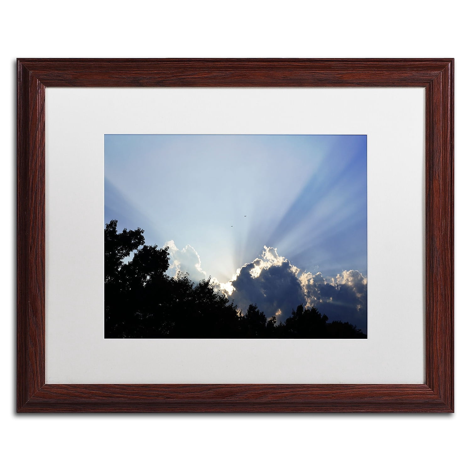 Trademark Fine Art KS0167-W1620MF "Inspirational Sky" by Kurt Shaffer 16" x 20" Framed Art WHT MTD