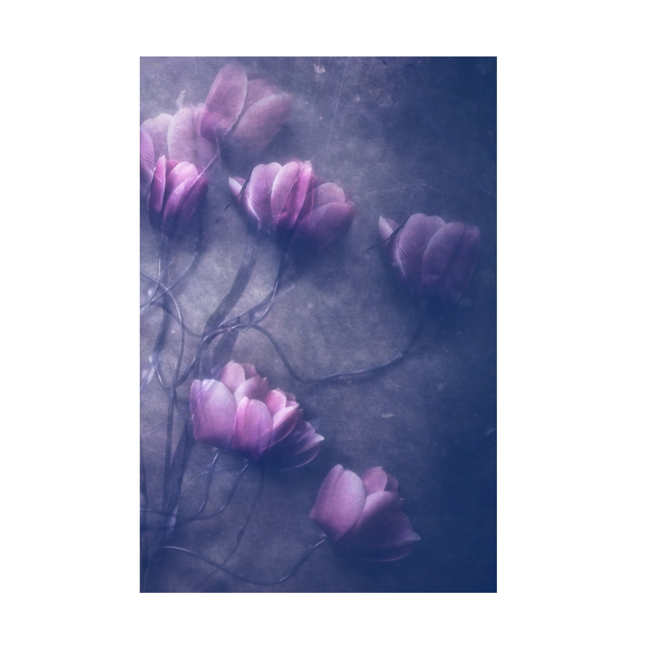 Trademark Fine Art Kahar Lagaa I Will Be Canvas Wall Art