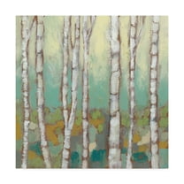 Trademark Fine Art 'Kaleidoscope Birches I' Canvas Art by Jennifer Goldberger