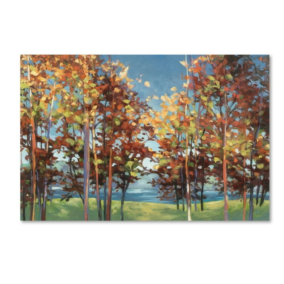 Trademark Fine Art 'Kaleidoscope' Canvas Art by Julia Purinton