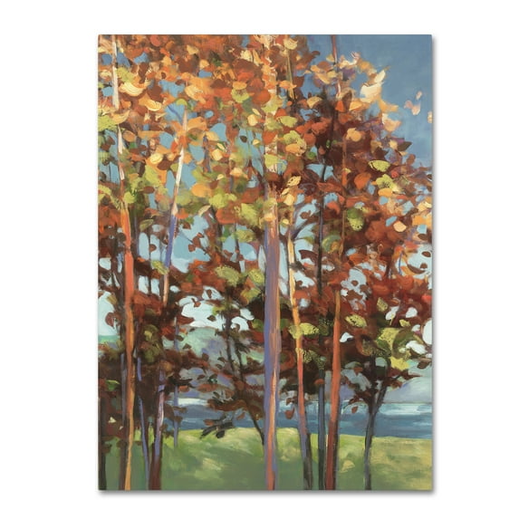 Trademark Fine Art 'Kaleidoscope II' Canvas Art by Julia Purinton