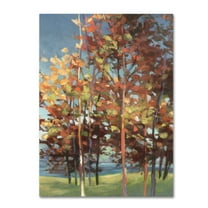 Trademark Fine Art 'Kaleidoscope III' Canvas Art by Julia Purinton