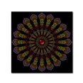 thumbnail image 1 of Trademark Fine Art 'Kaleidoscope Mandala' Canvas Art by Delyth Angharad, 1 of 3