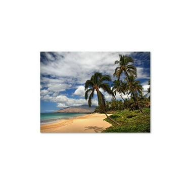 Trademark Fine Art "Kamaole Tropical" Canvas Art by Pierre Leclerc