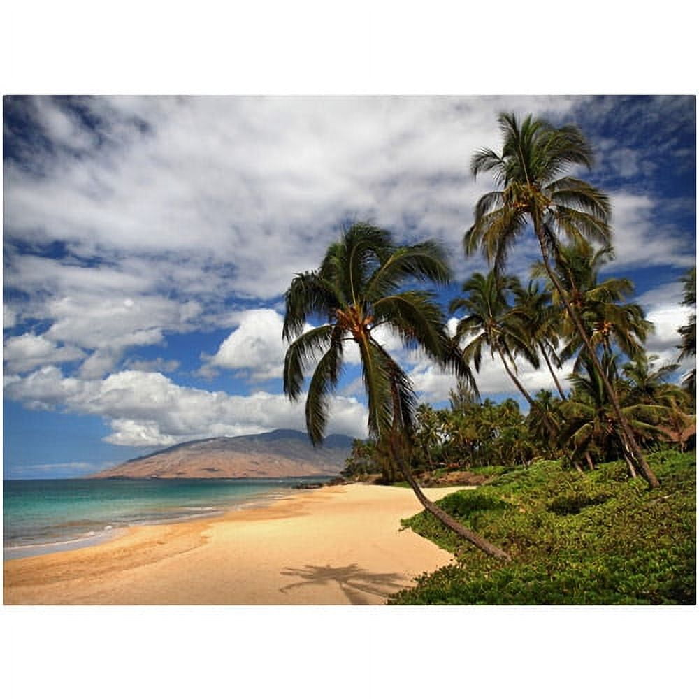 Trademark Fine Art "Kamaole Tropical" Canvas Art by Pierre Leclerc