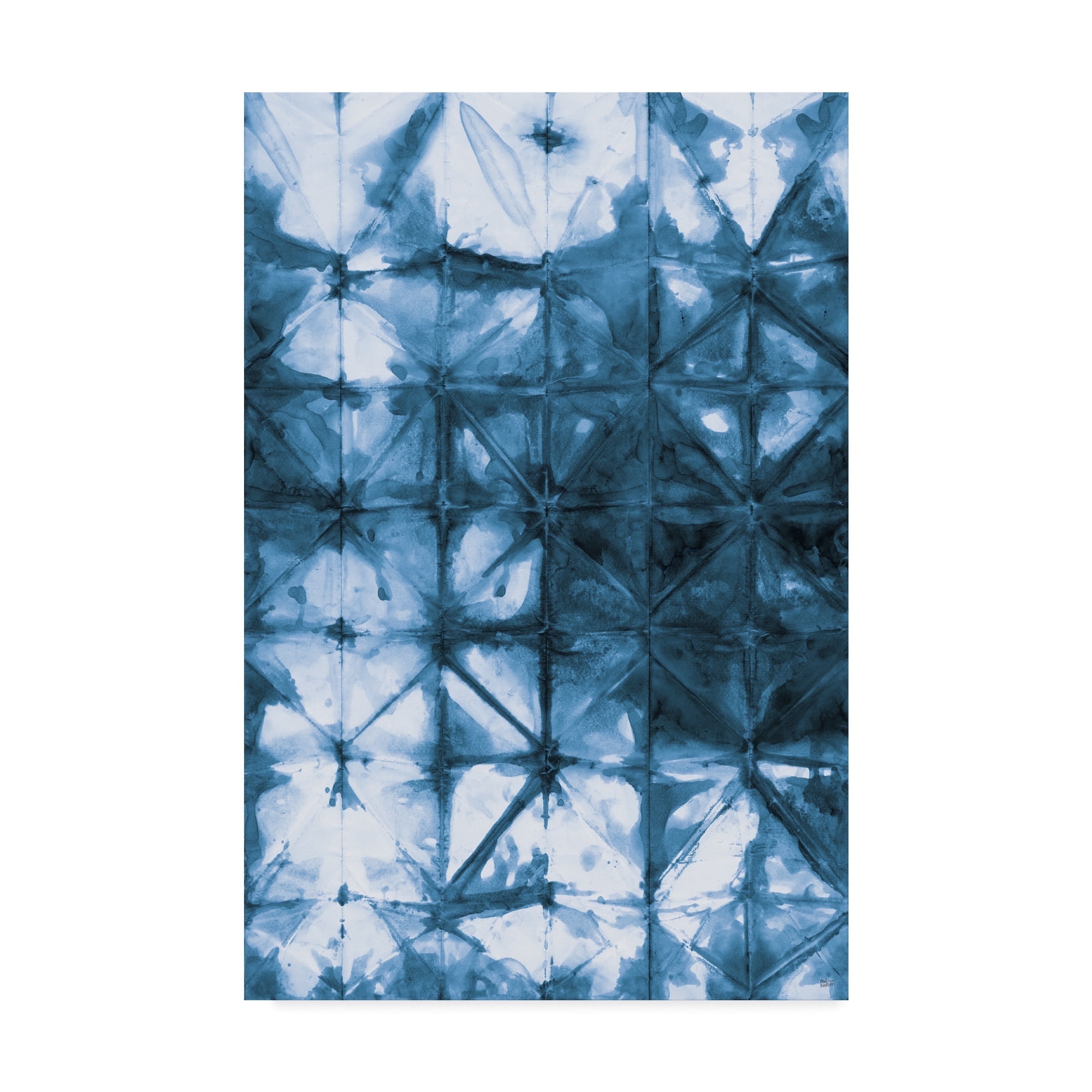 Trademark Fine Art 'Kanari IV Indigo' Canvas Art by Melissa Averinos