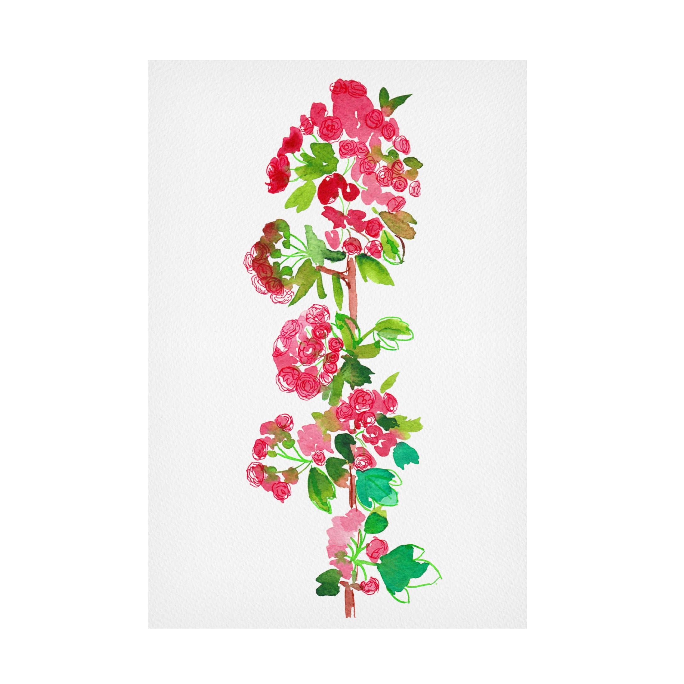 Trademark Fine Art Kata Botanical Crataegus laevigata 'Paul's Scarlet' Canvas Wall Art
