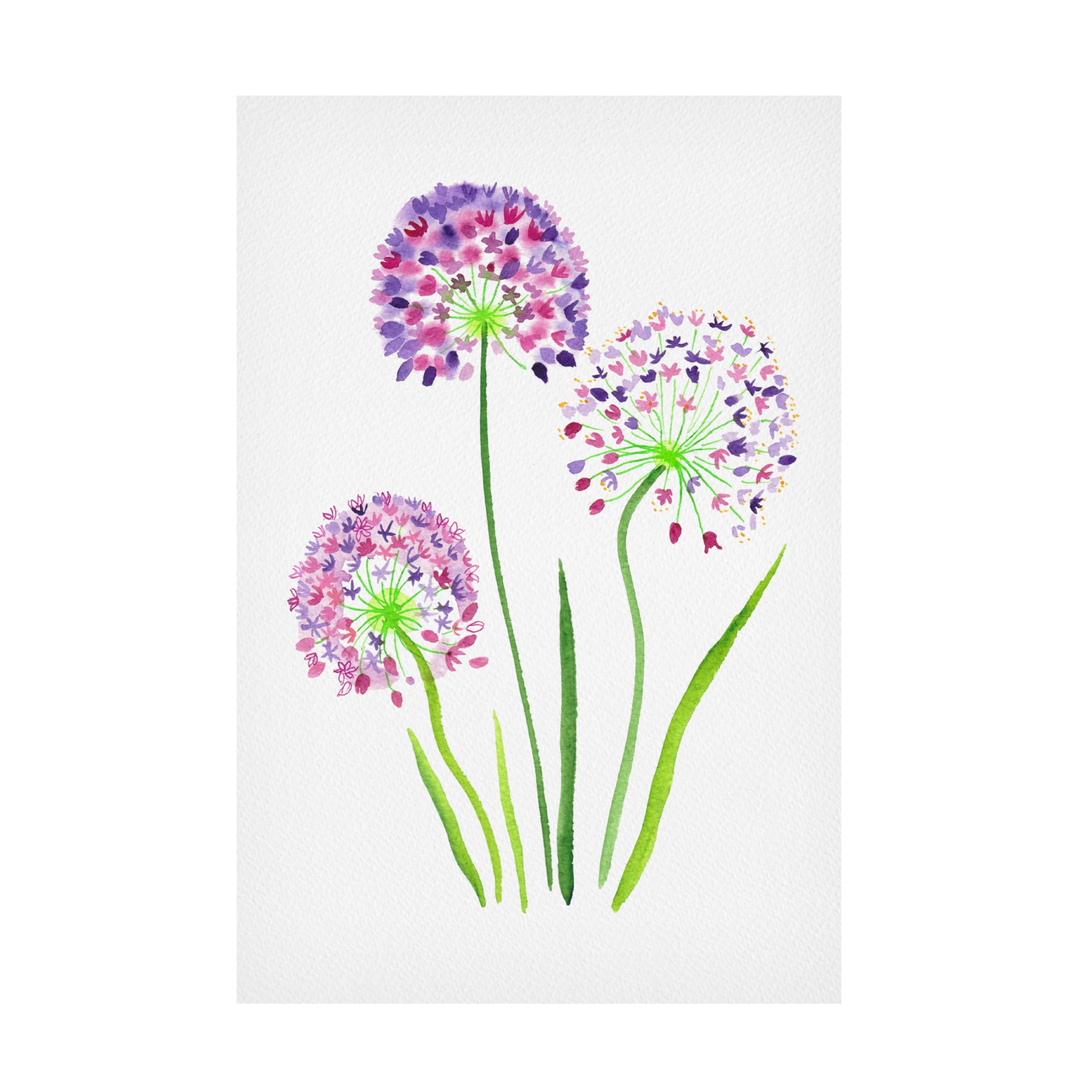 Trademark Fine Art Kata Botanical Giant onion or Allium giganteum Canvas Wall Art