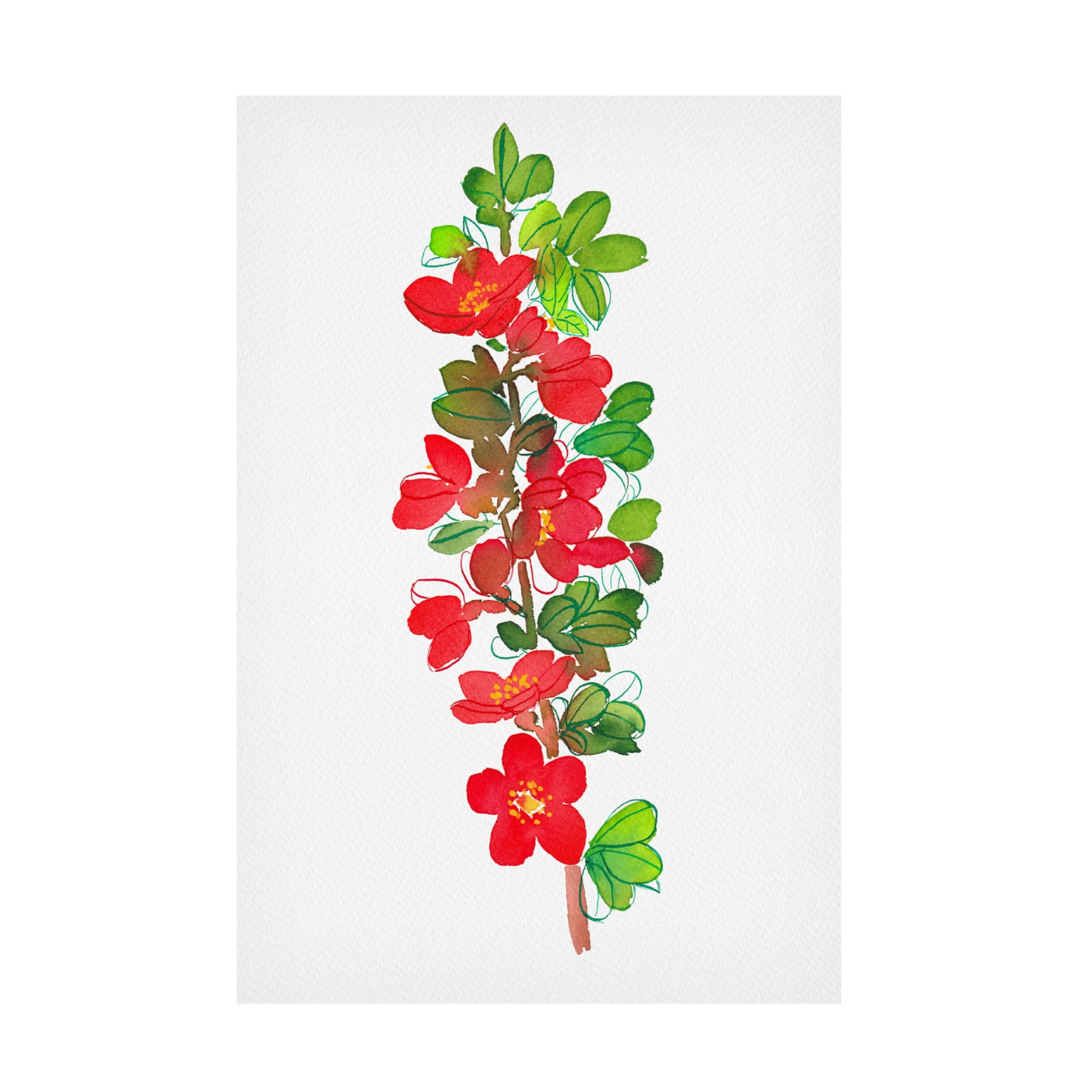 Trademark Fine Art Kata Botanical  Japanese quince or Chaenomeles Canvas Wall Art