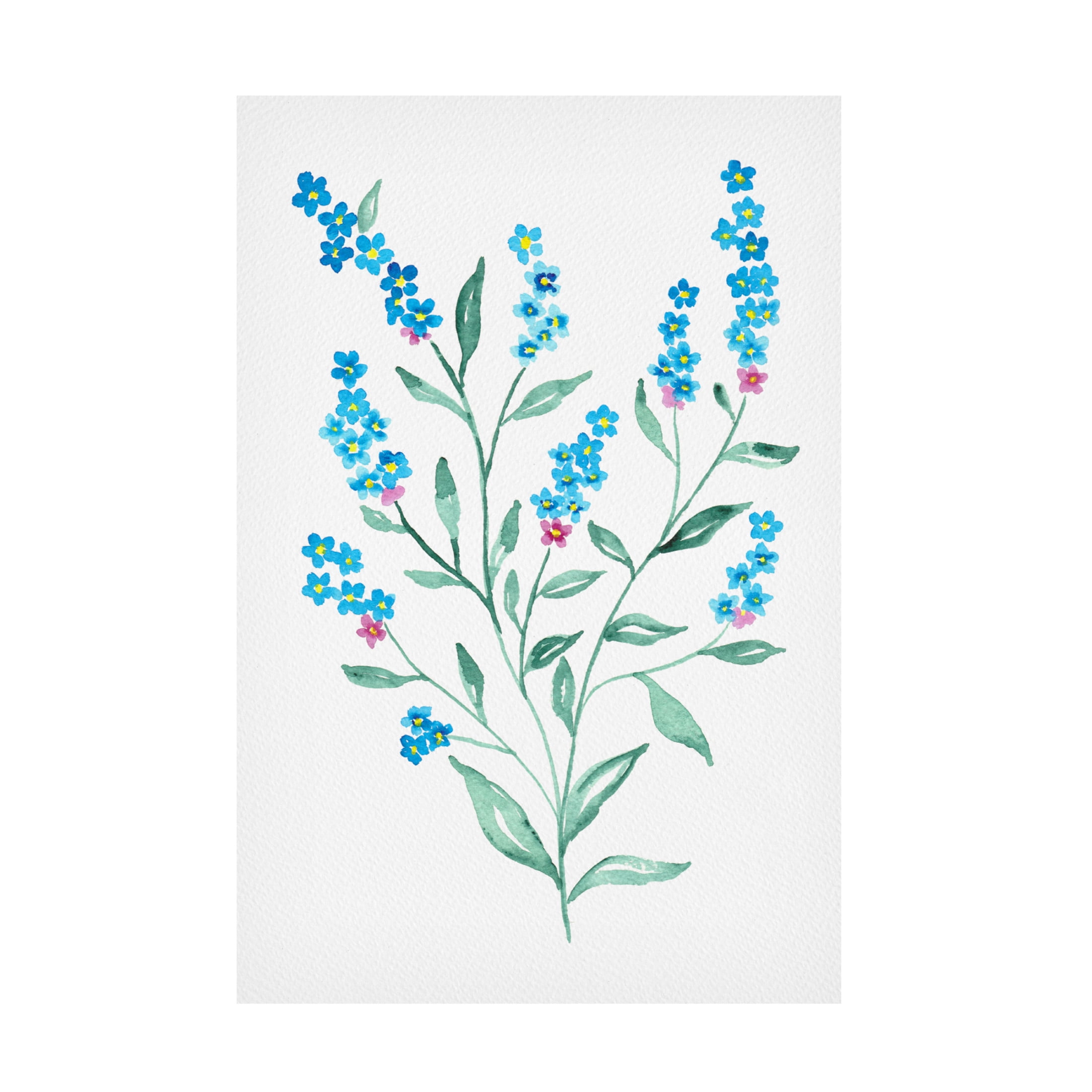 Trademark Fine Art Kata Botanical Myosotis sylvatica botanical Canvas Wall Art