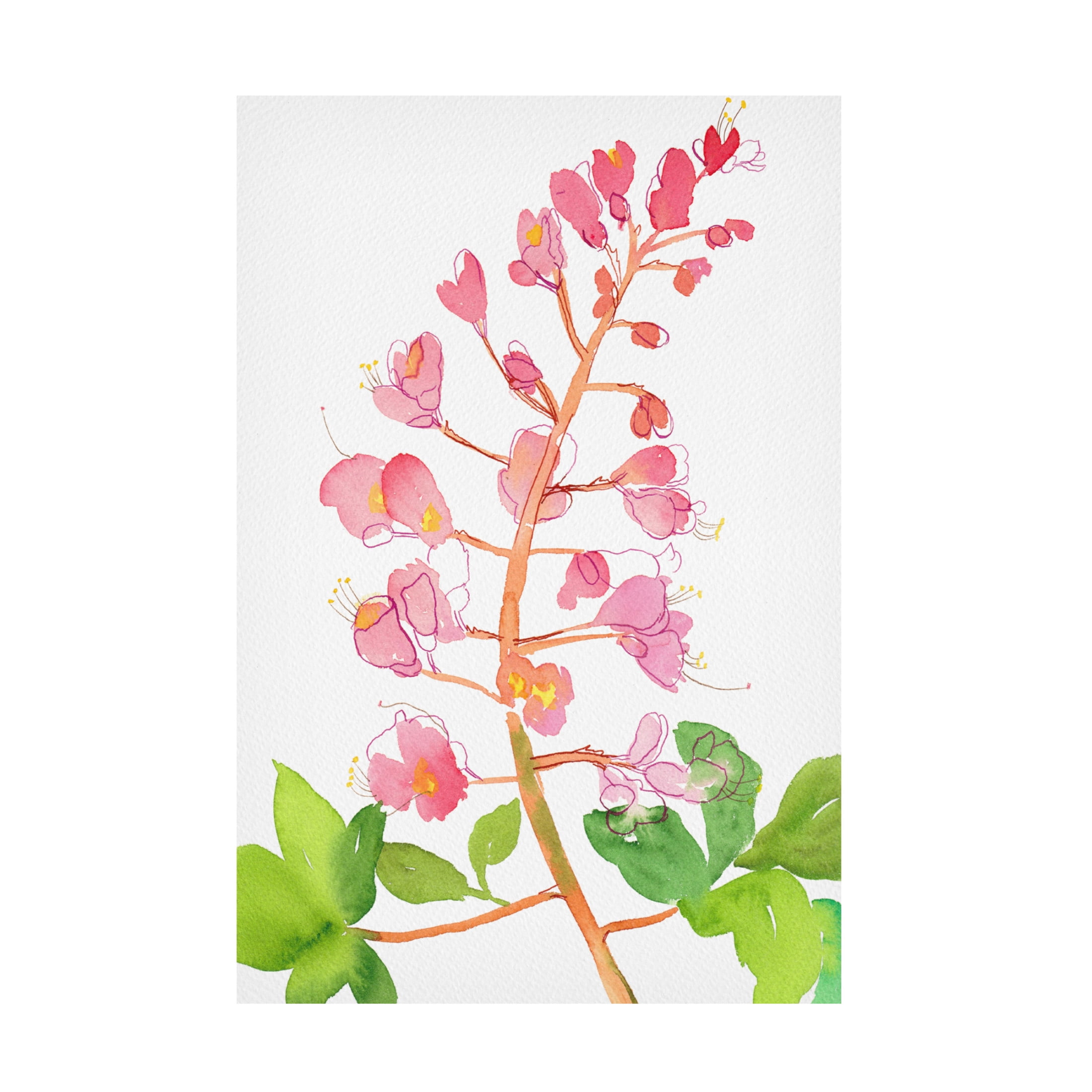 Trademark Fine Art Kata Botanical  Red horse chestnut or Aesculus A carnea with watercolor and ink Canvas Wall Art