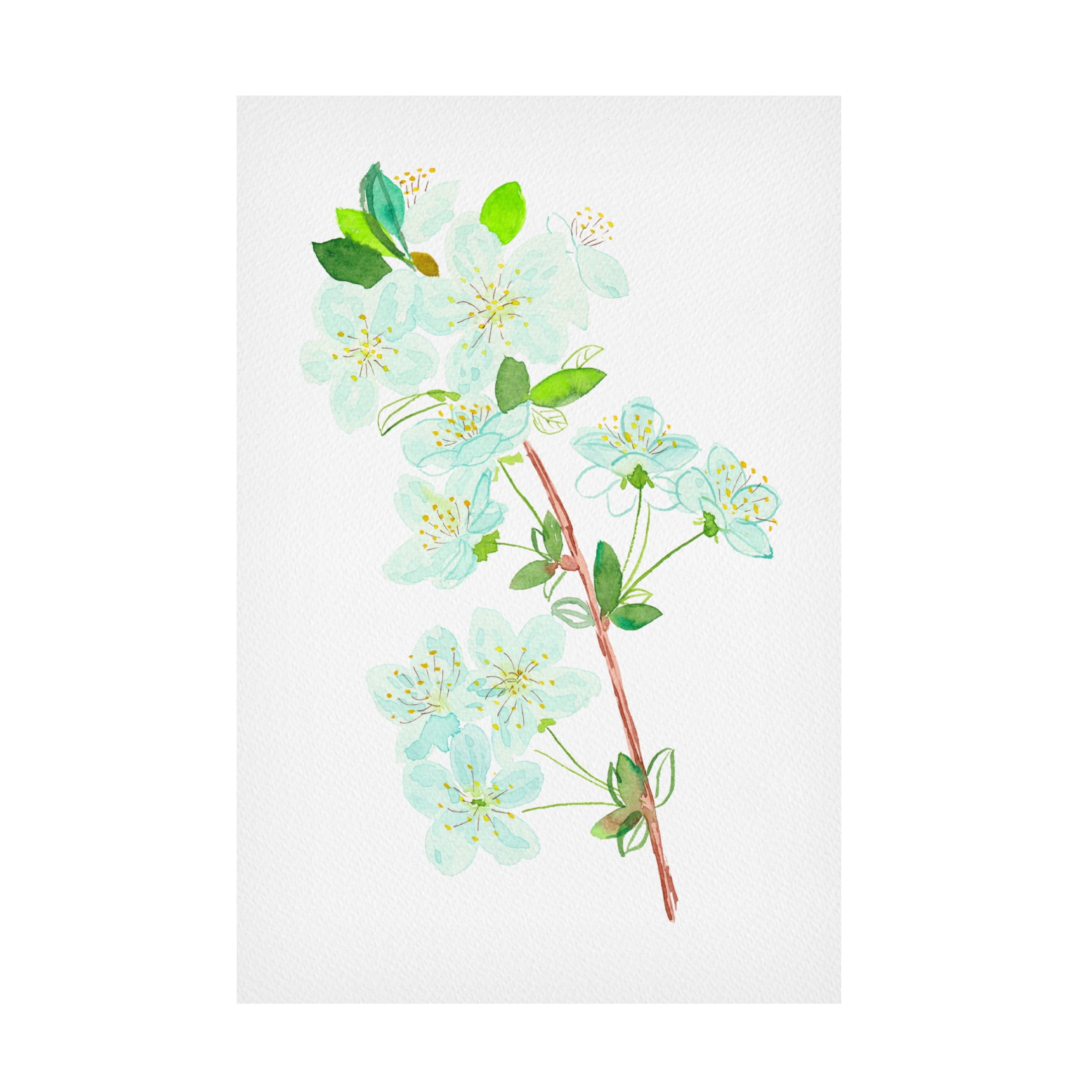 Trademark Fine Art Kata Botanical Wild cherry or Prunus avium botanical painting Canvas Wall Art