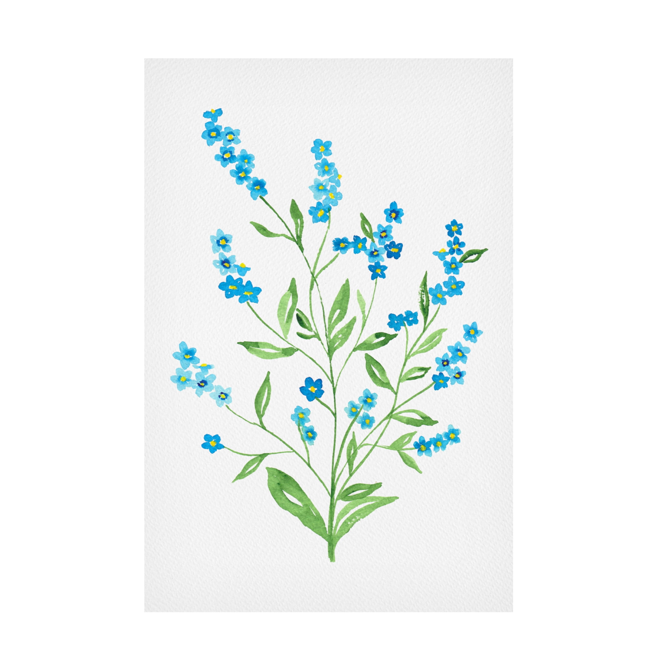 Trademark Fine Art Kata Botanical Wood forget me not Canvas Wall Art