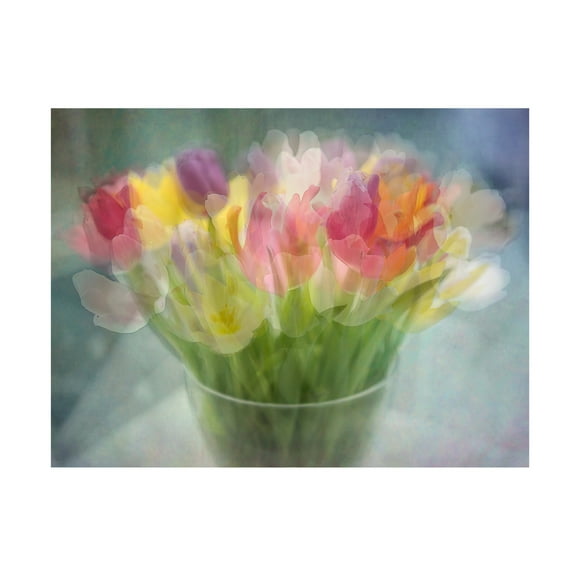 Trademark Fine Art Katarina Holmstrom Tulips Canvas Wall Art