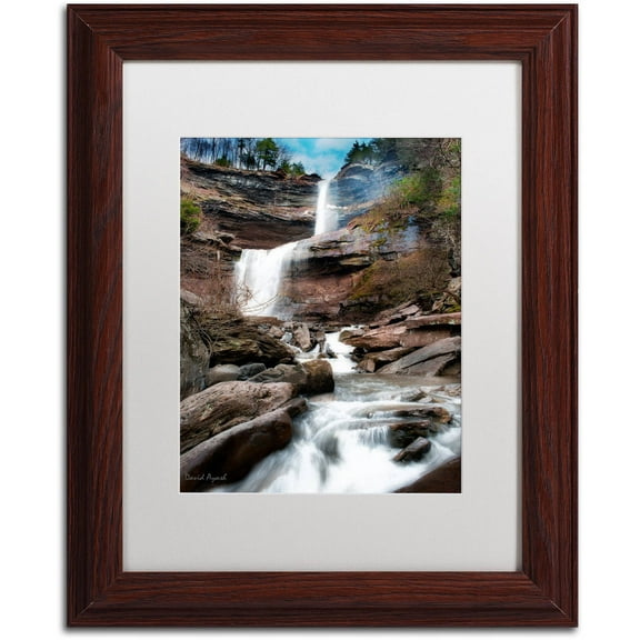 Trademark Fine Art "Katerskill Fall" Canvas Art by David Ayash White Matte, Wood Frame