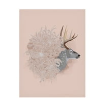 Trademark Fine Art Katie O'Shea Buck and Flower I Canvas Wall Art