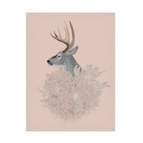 Trademark Fine Art Katie O'Shea Buck and Flower II Canvas Wall Art