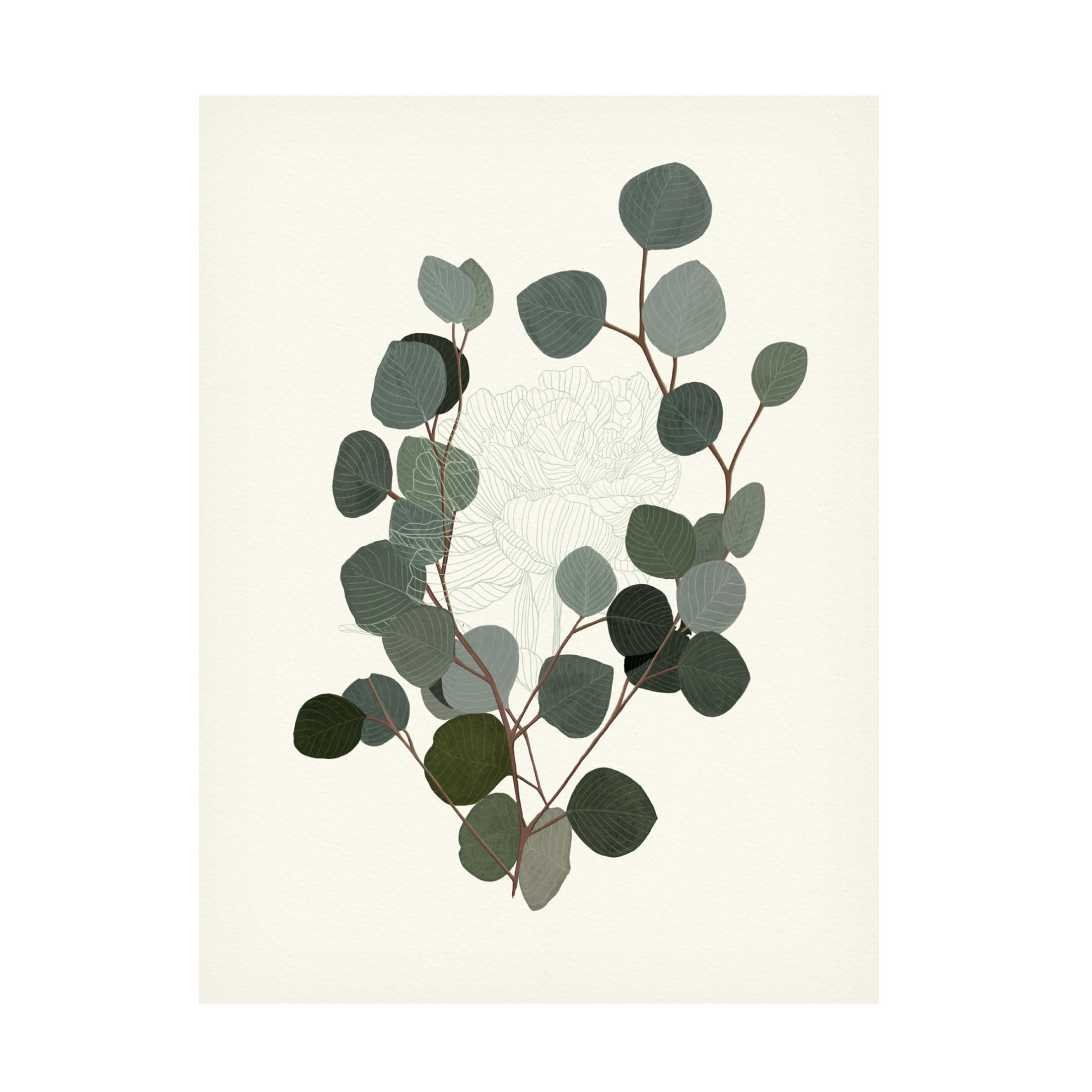 Trademark Fine Art Katie O'Shea  Eucalyptus Leaves II Canvas Wall Art