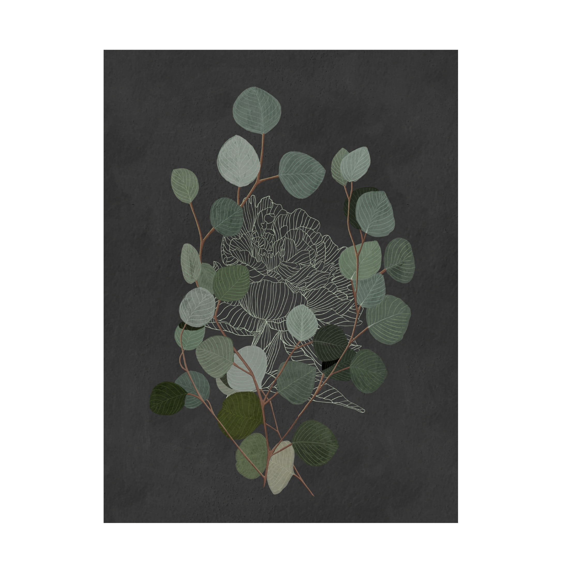 Trademark Fine Art Katie O'Shea Eucalyptus Leaves III Canvas Wall Art